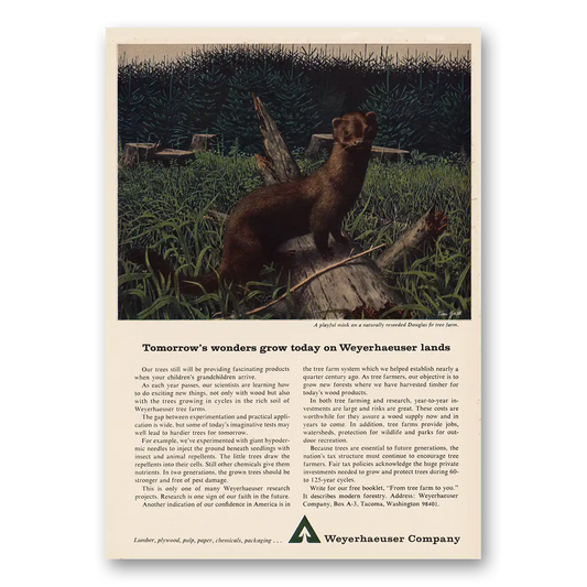 1964 Weyerhaeuser Playful Mink Vintage Magazine Print Ad