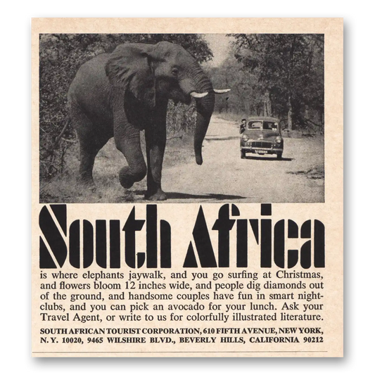 1966 South Africa Elephants Jaywalk Vintage Magazine Print Ad