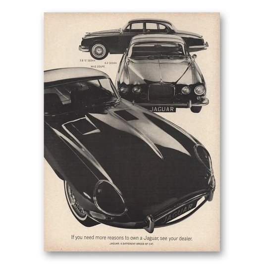 1965 Jaguar You Need More Reasons to Own a Jaguar Vintage Magazine Print Ad