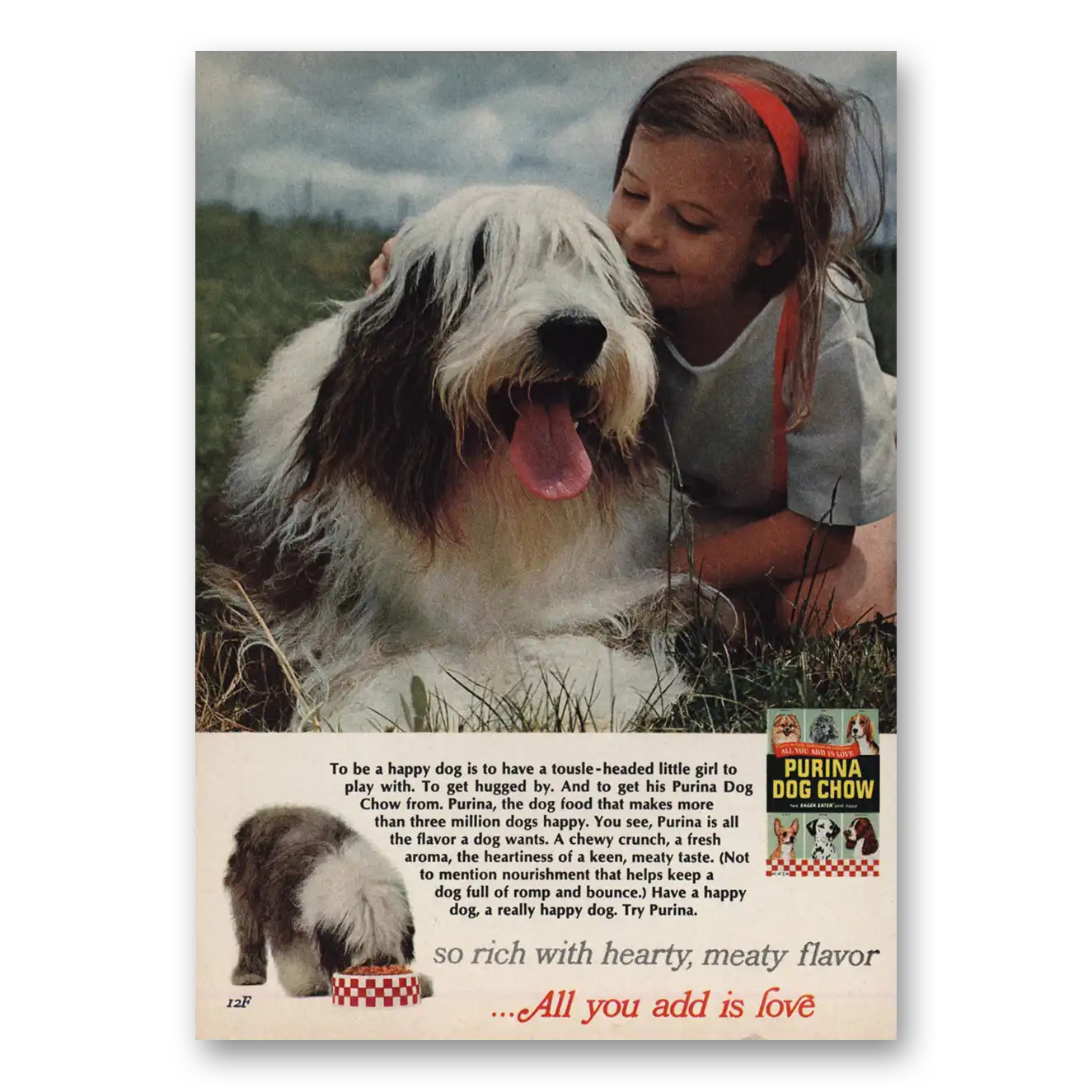 1966 Purina Dog Chow Tousle Headed Little Girl Vintage Magazine Print Ad