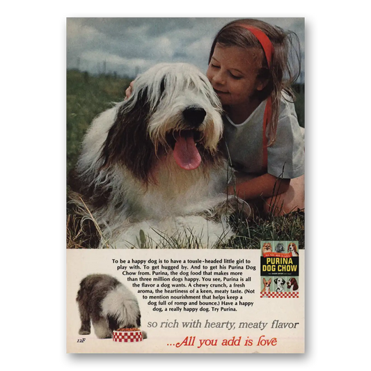 1966 Purina Dog Chow Tousle Headed Little Girl Vintage Magazine Print Ad