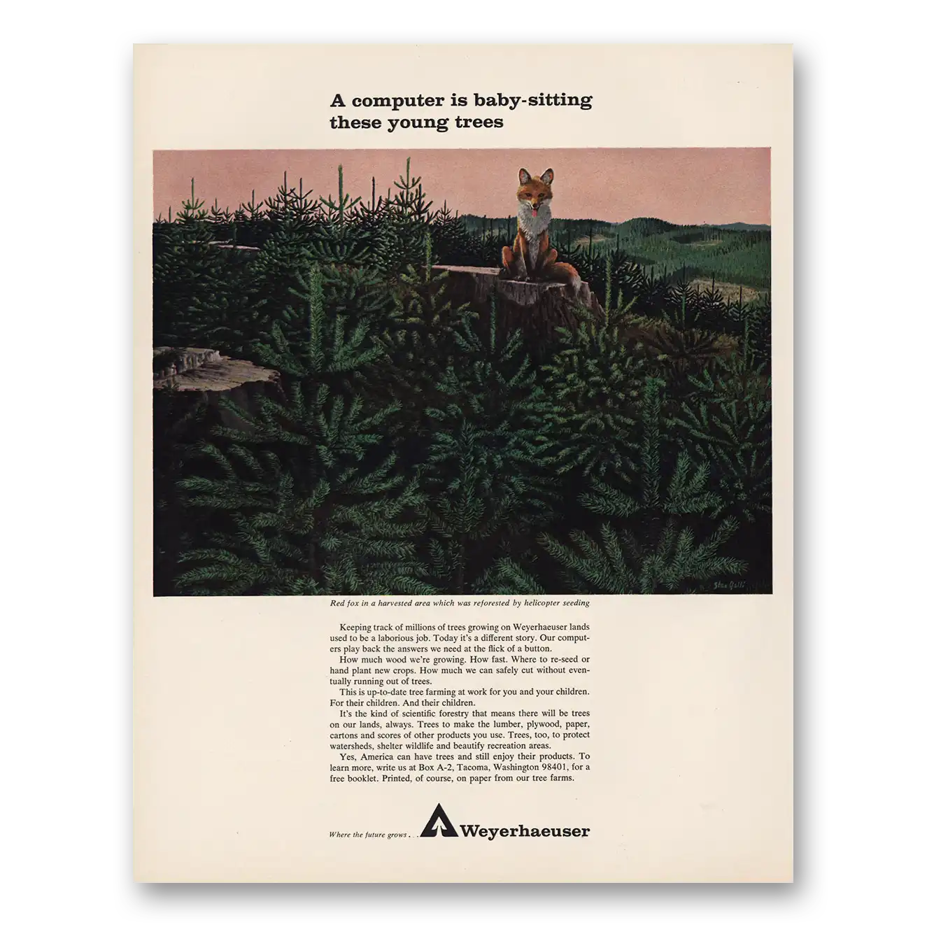 1966 Weyerhaeuser Computer Baby Sitting Trees Vintage Magazine Print Ad