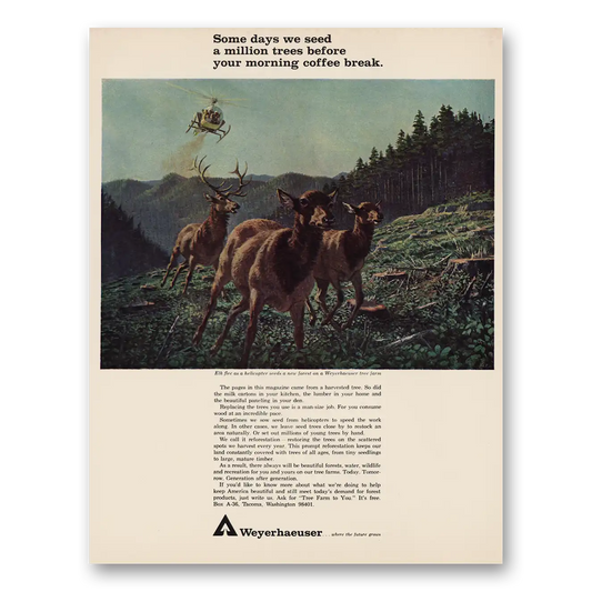 1966 Weyerhaeuser Million Trees Before Morning Coffee Vintage Magazine Print Ad