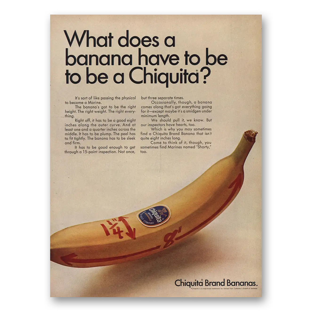 1967 Chiquita Banana What Does Banana Have to Be Vintage Magazine Print Ad