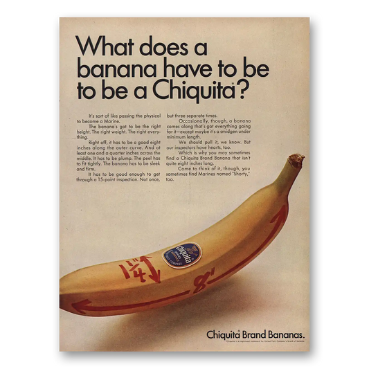 1967 Chiquita Banana What Does Banana Have to Be Vintage Magazine Print Ad