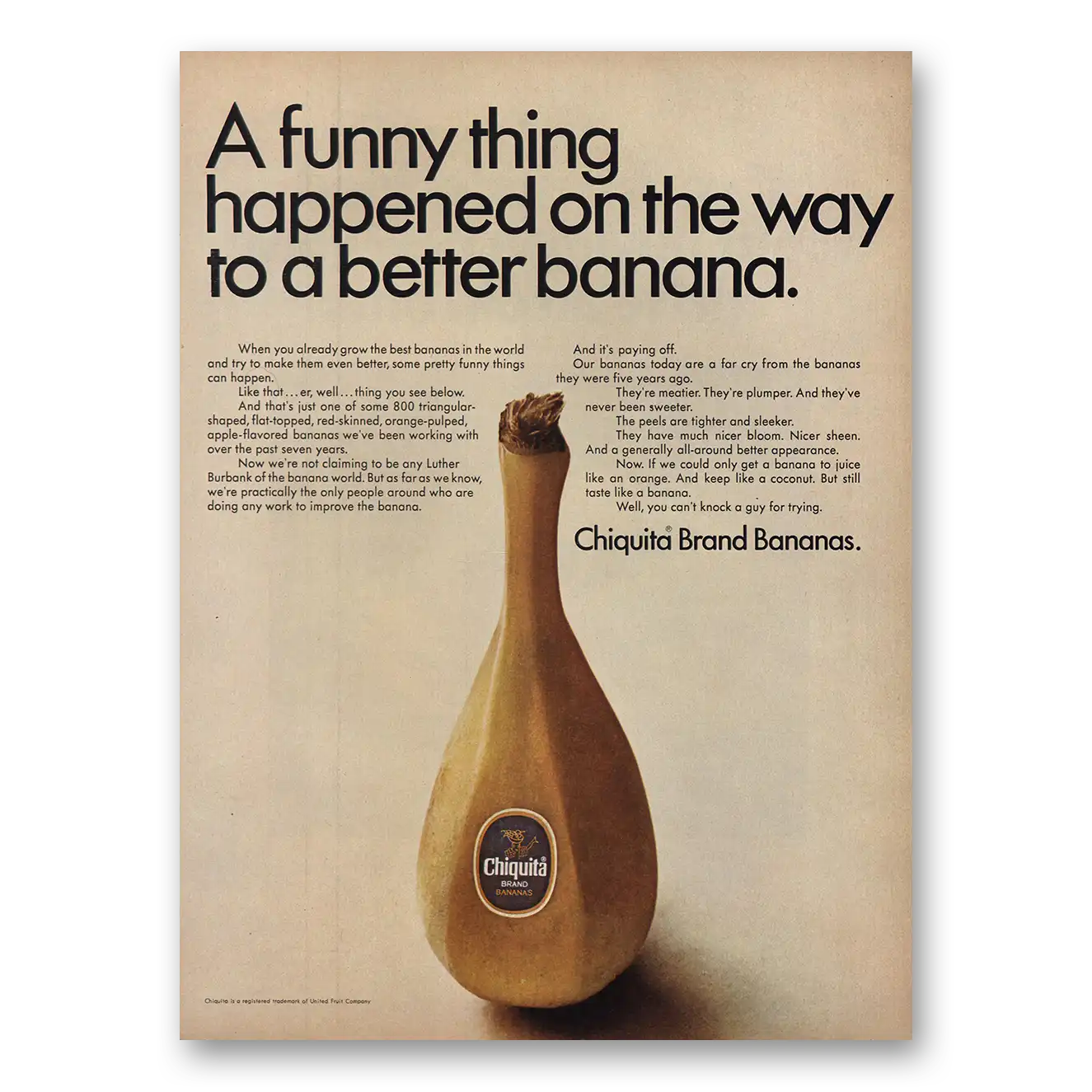 1967 Chiquita Banana Funny Thing Happened Vintage Magazine Print Ad