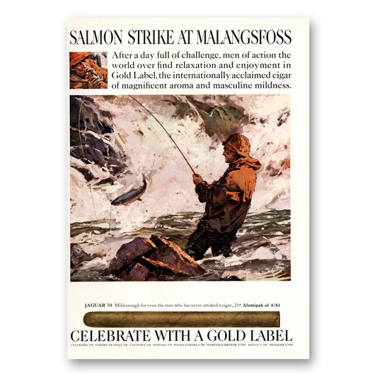 1967 Gold Label Cigars Salmon Strike at Malangsfoss Vintage Magazine Print Ad