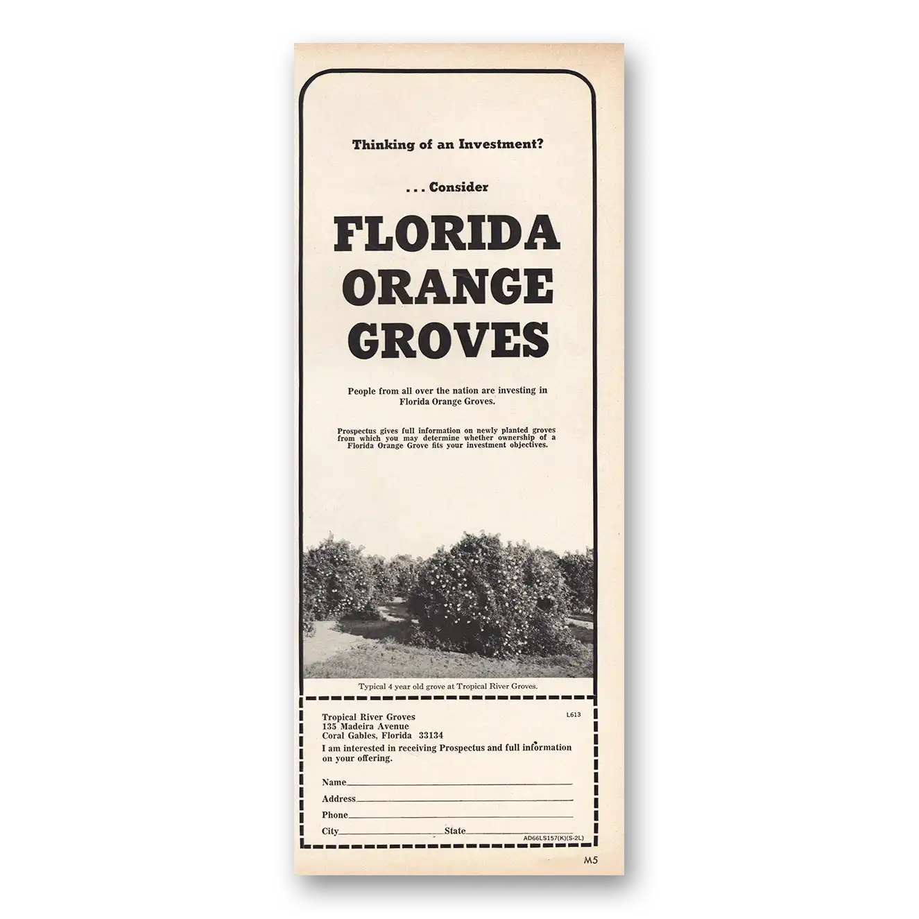 1967 Tropical River Groves Florida Orange Groves Vintage Magazine Print Ad