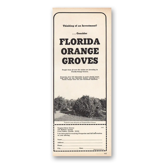 1967 Tropical River Groves Florida Orange Groves Vintage Magazine Print Ad