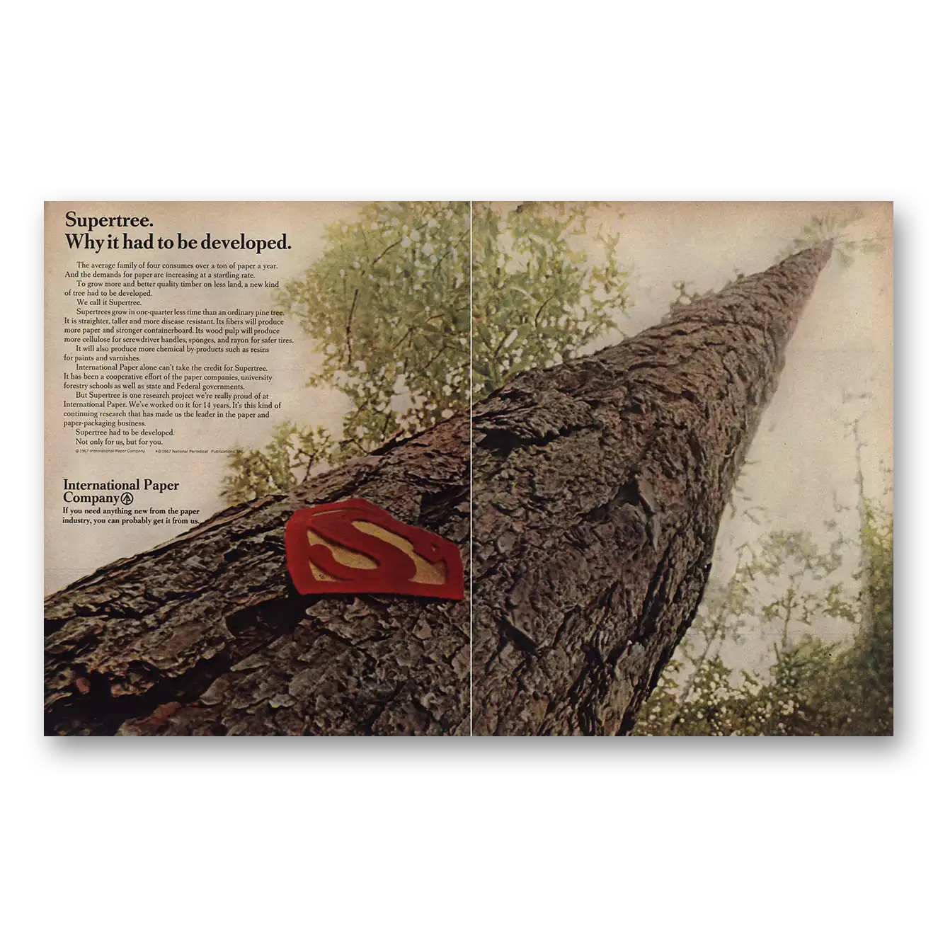 1967 International Paper Supertree Had to Be Developed Vintage Magazine Print Ad