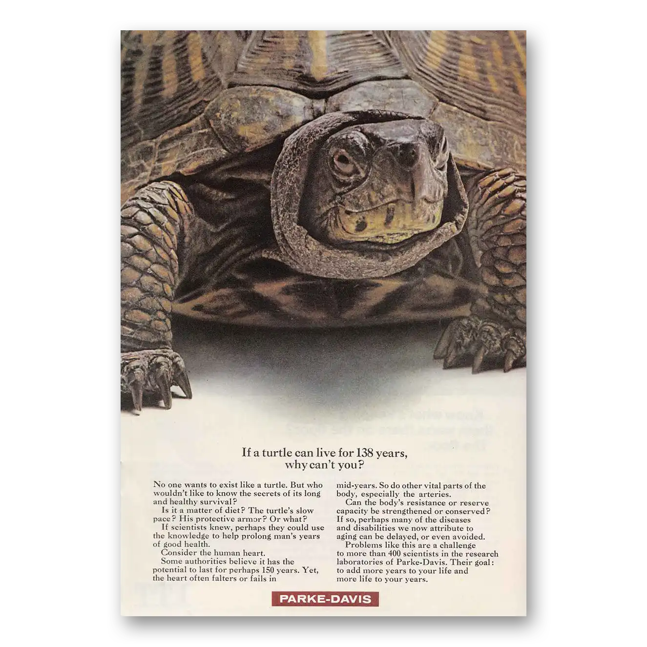 1967 Parke-Davis Turtle Can Live for 138 Years Vintage Magazine Print Ad