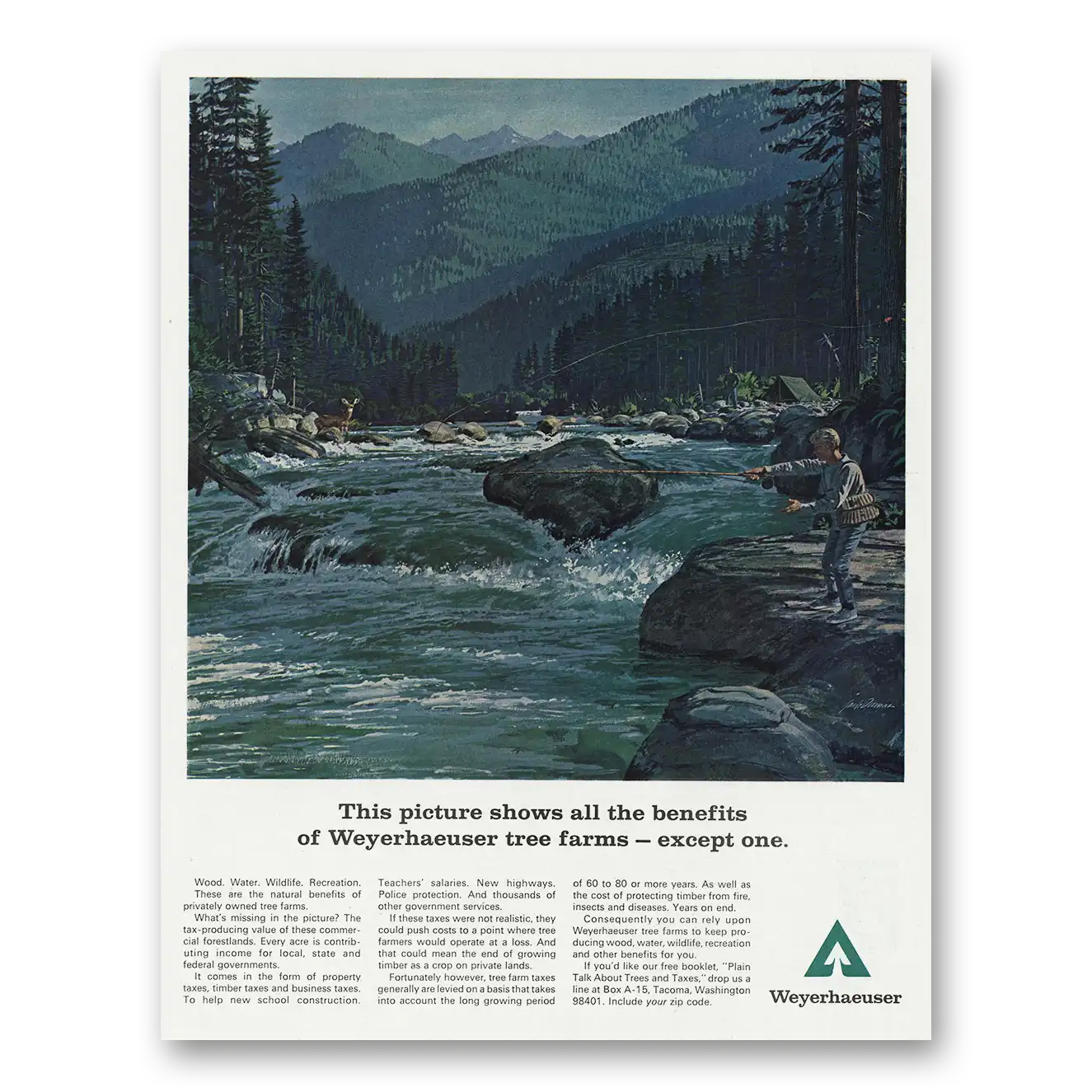 1967 Weyerhaeuser This Picture Shows All the Benefits Vintage Magazine Print Ad