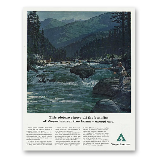 1967 Weyerhaeuser This Picture Shows All the Benefits Vintage Magazine Print Ad