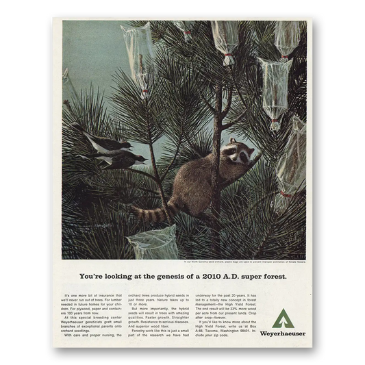 1967 Weyerhaeuser Genesis 2010 AD Super Forest Vintage Magazine Print Ad