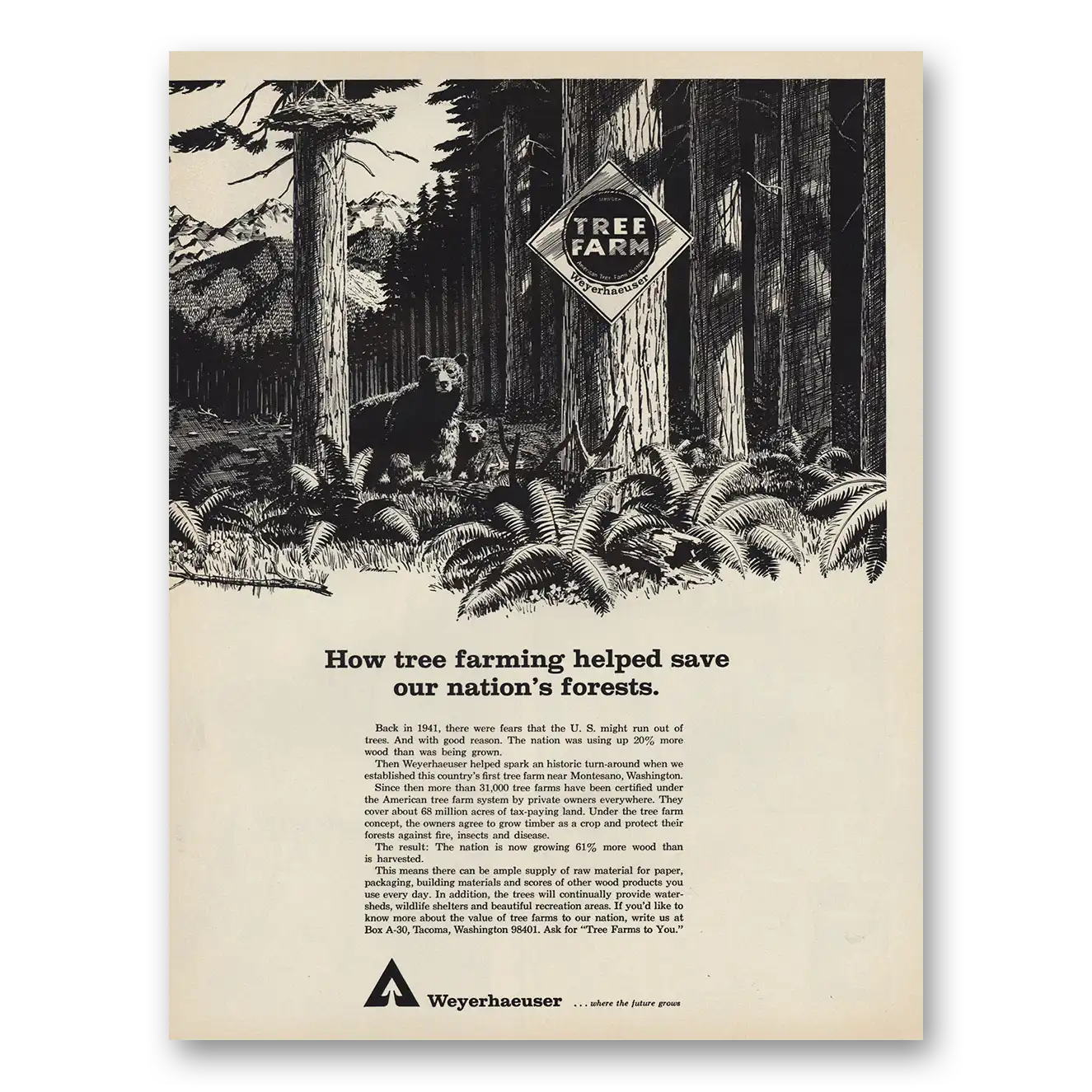 1967 Weyerhaeuser Tree Farm Vintage Magazine Print Ad