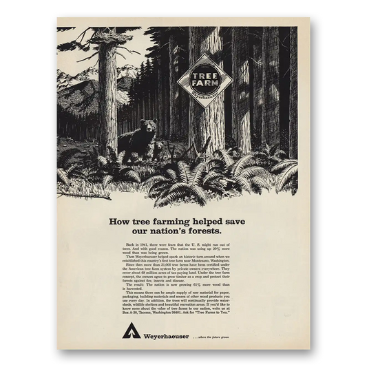 1967 Weyerhaeuser Tree Farm Vintage Magazine Print Ad