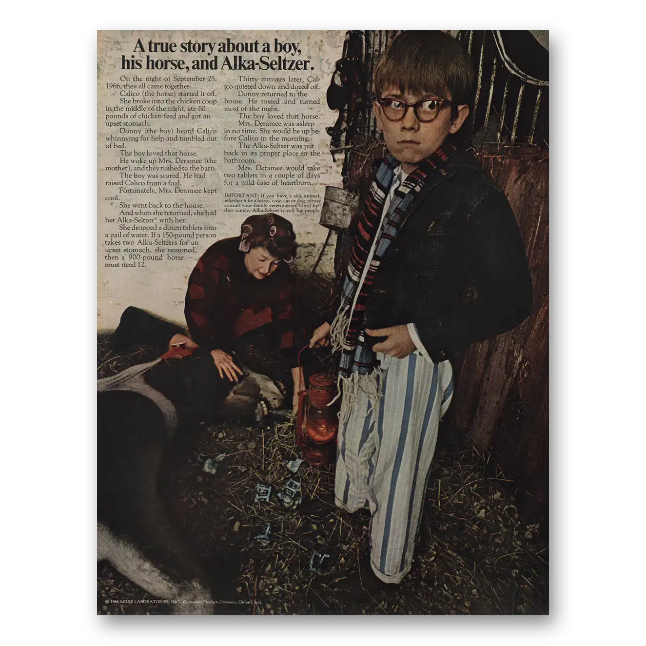 1968 Alka Seltzer True Story About Boy His Horse Vintage Magazine Print Ad