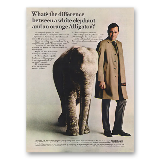 1968 Alligator Coats White Elephant and an Orange Alligator Vintage Magazine Print Ad