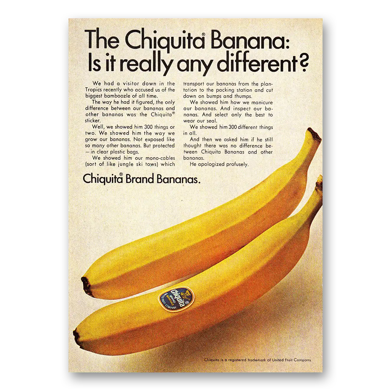 1968 Chiquita Banana Really Any Different Vintage Magazine Print Ad