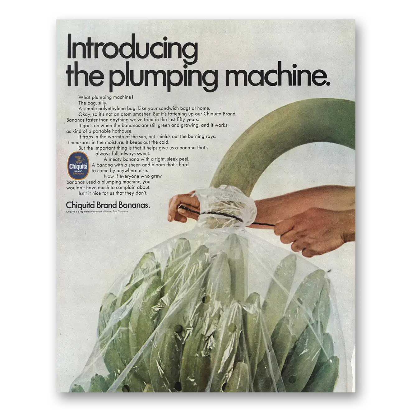 1968 Chiquita Banana Plumping Machine Vintage Magazine Print Ad