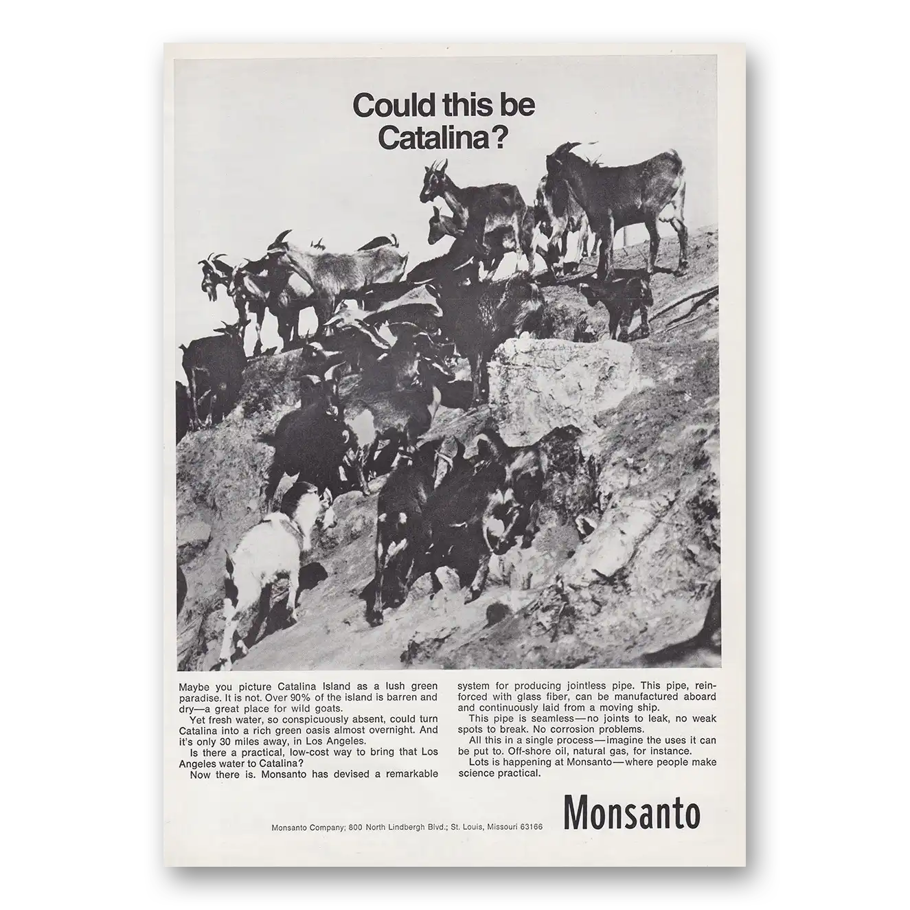 1968 Monsanto Could This Be Catalina Vintage Magazine Print Ad