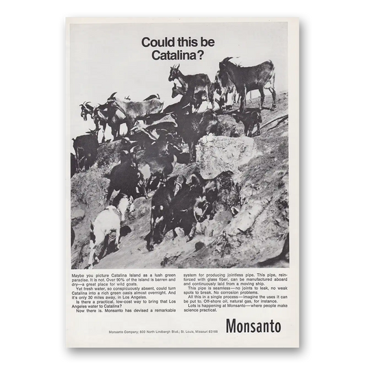 1968 Monsanto Could This Be Catalina Vintage Magazine Print Ad