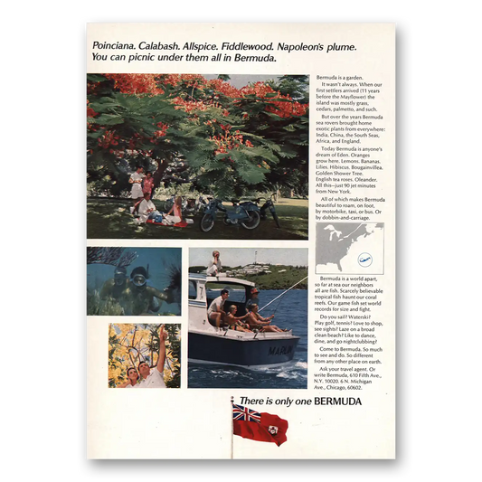 1969 Bermuda  Poinciana Calabash Allspice Vintage Magazine Print Ad