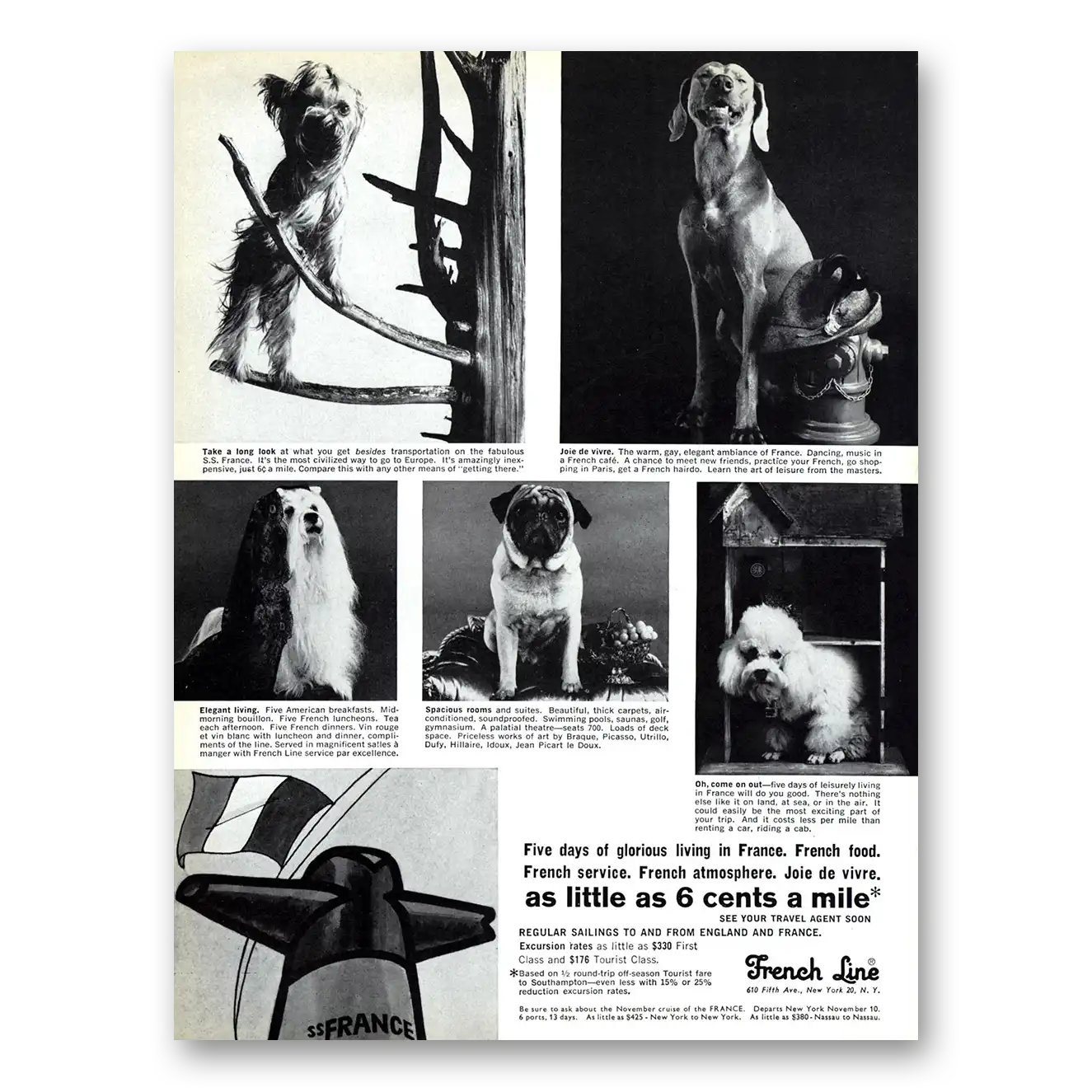 1969 French Line Five Days of Glorious Living Dogs Vintage Magazine Print Ad