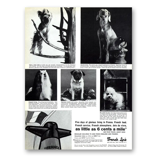 1969 French Line Five Days of Glorious Living Dogs Vintage Magazine Print Ad