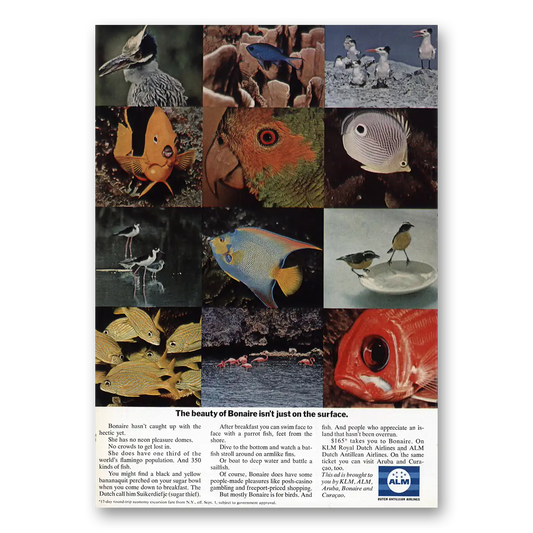 1969 KLM Royal Dutch Airlines Beauty of Bonaire Isnt Just On the Surface Vintage Magazine Print Ad