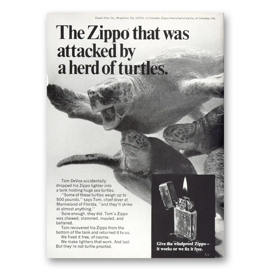 1969 Zippo Lighter Attacked by a Herd of Turtles Vintage Magazine Print Ad