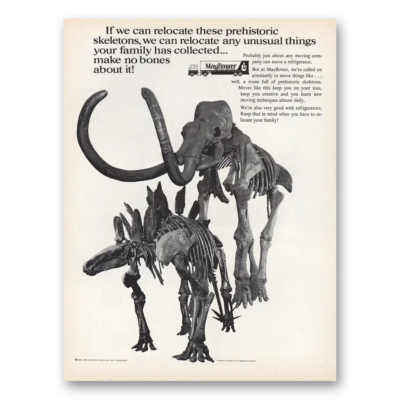 1971 Mayflower Moving Trucks Relocate These Prehistoric Skeletons Vintage Magazine Print Ad