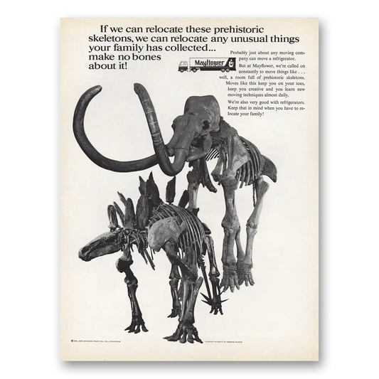 1971 Mayflower Moving Trucks Relocate These Prehistoric Skeletons Vintage Magazine Print Ad