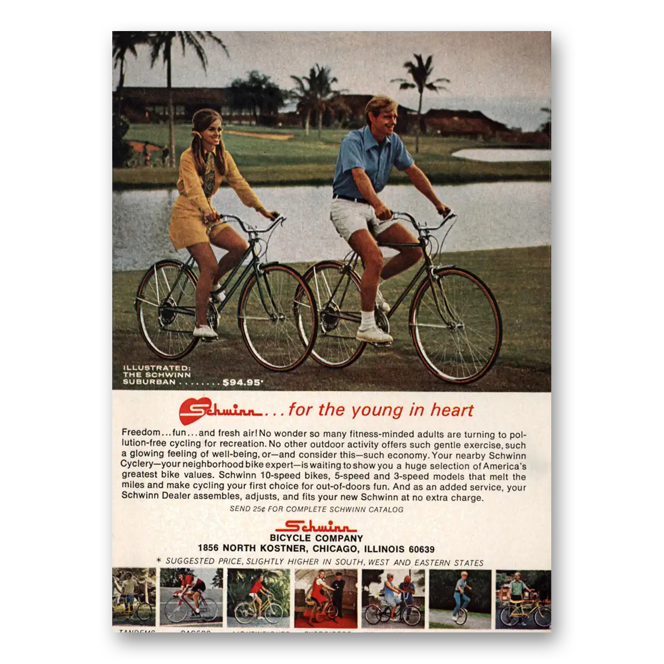 1971 Schwinn Bicycles Bicycles For the Young In Heart Vintage Magazine Print Ad