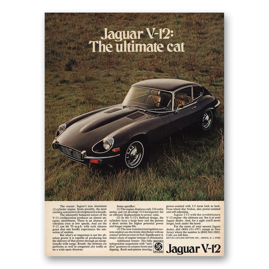 1972 Jaguar Ultimate Cat Vintage Magazine Print Ad