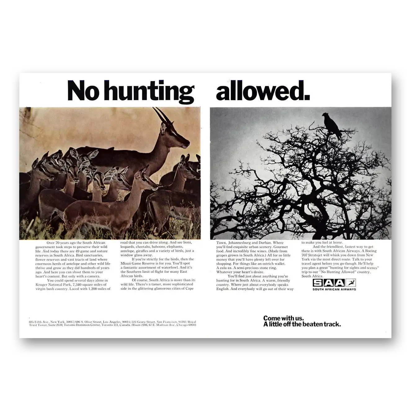 1972 South African Airways No Hunting Allowed Vintage Magazine Print Ad