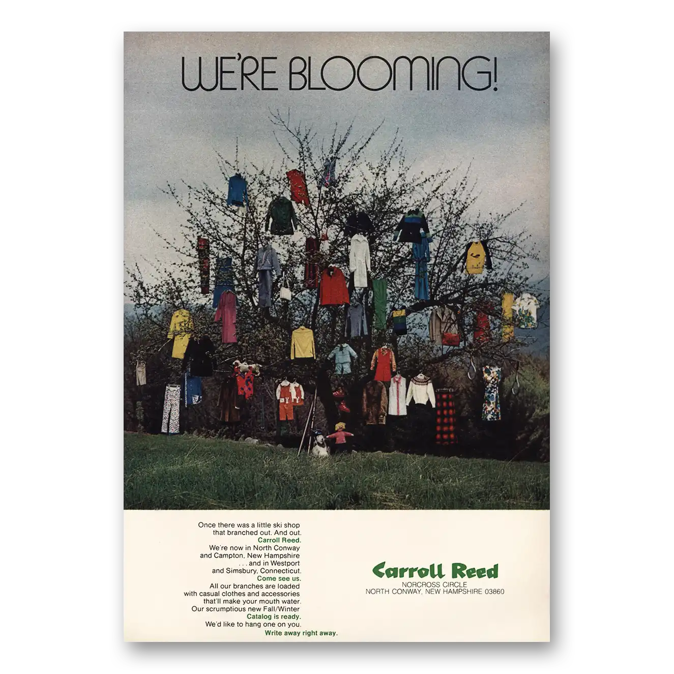 1973 Carroll Reed We're Blooming Vintage Magazine Print Ad