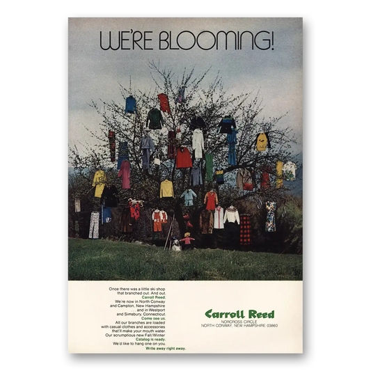 1973 Carroll Reed We're Blooming Vintage Magazine Print Ad