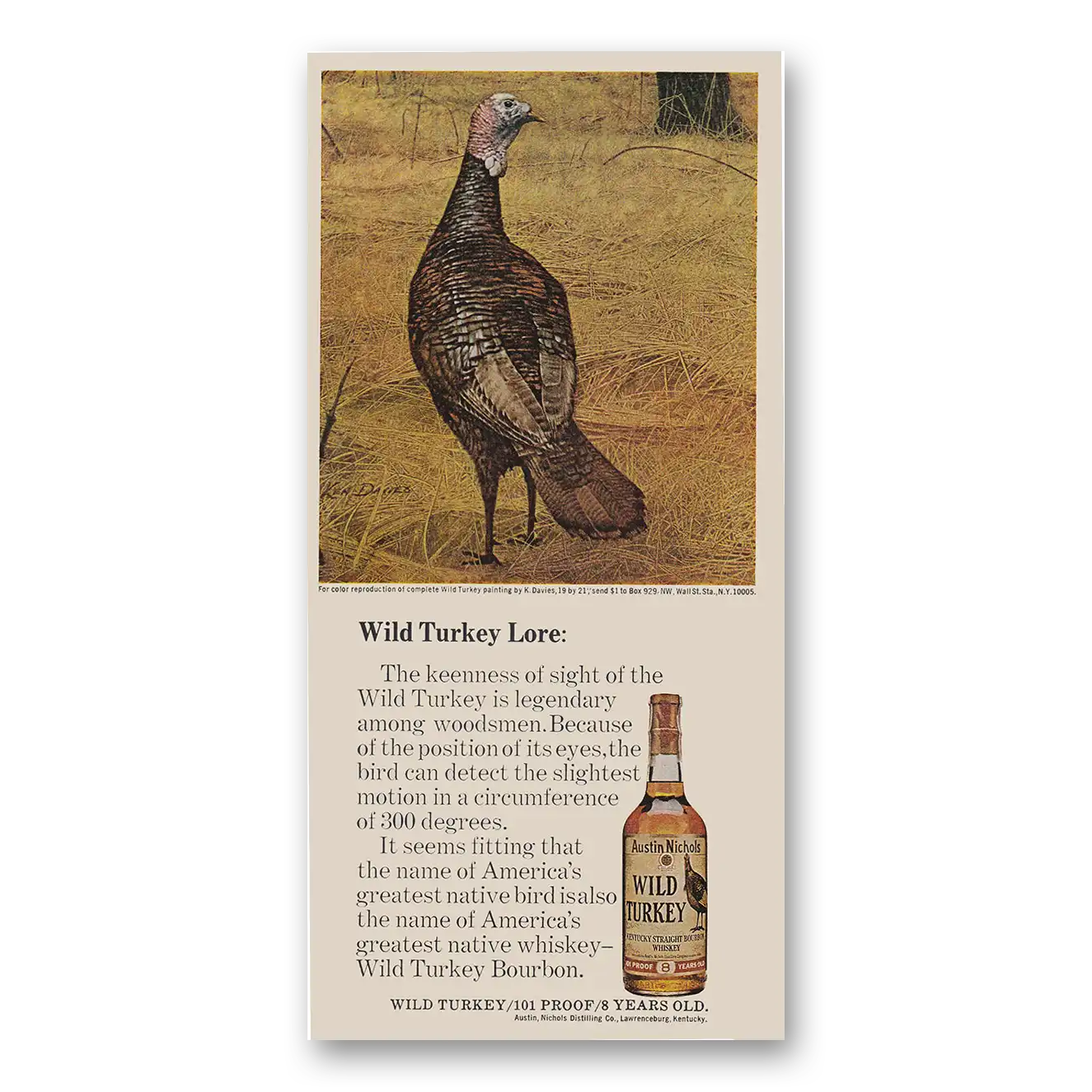 1973 Wild Turkey Bourbon Whiskey Wild Turkey Lore Keenness of Sight Vintage Magazine Print Ad