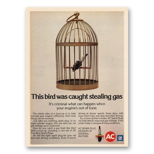 1974 AC Spark Plugs Bird Was Caught Stealing Gas Vintage Magazine Print Ad