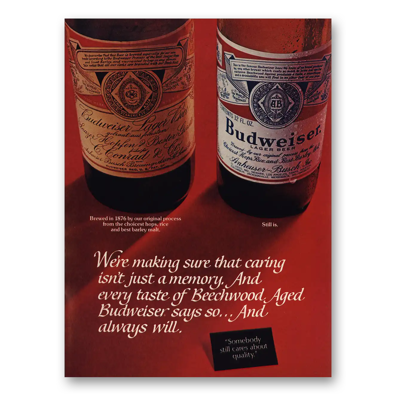 1974 Budweiser Beer Making Sure Caring Isnt Just a Memory Vintage Magazine Print Ad