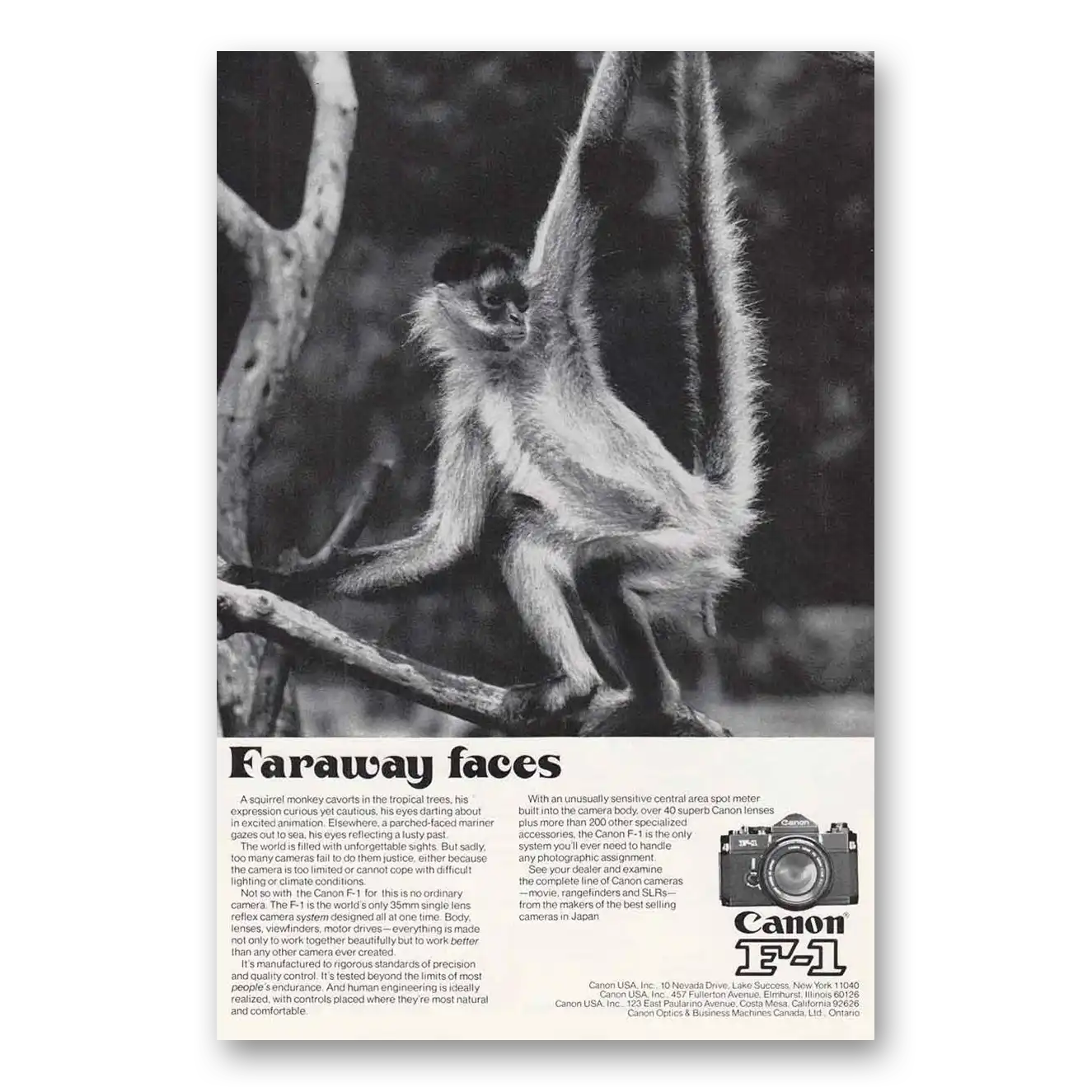 1974 Canon Camera Faraway Faces Squirrel Monkey Vintage Magazine Print Ad