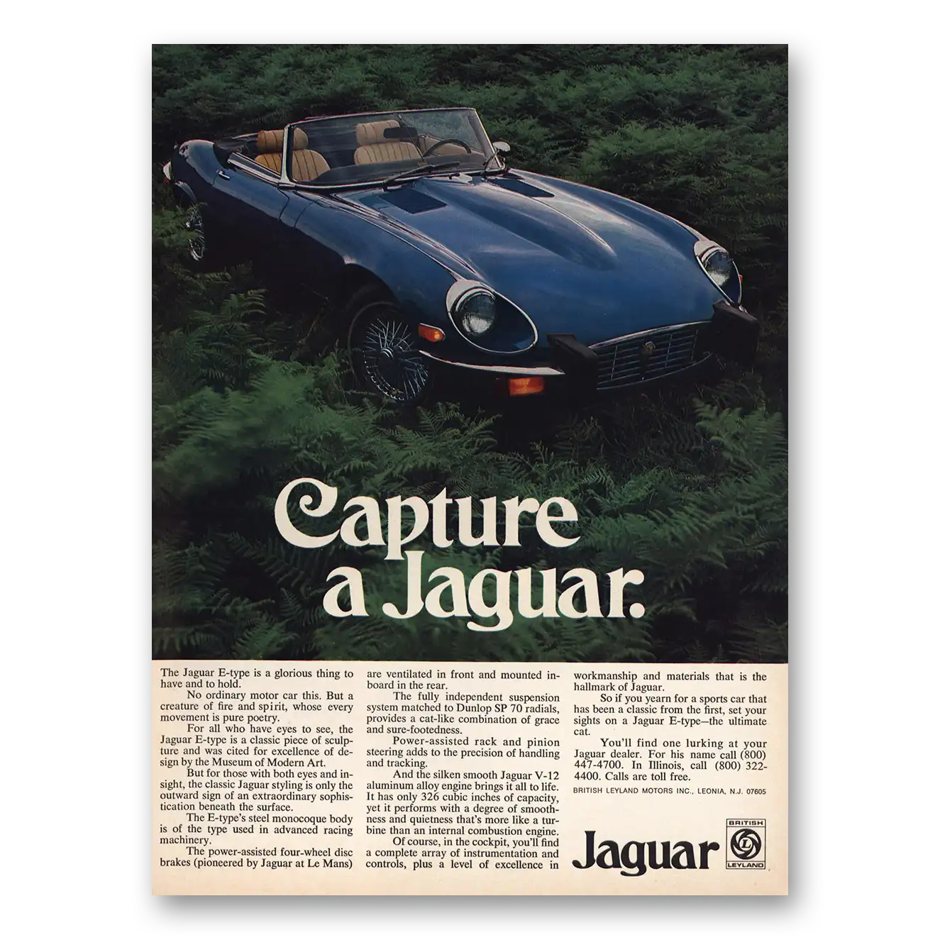 1974 Jaguar Capture a Jaguar Vintage Magazine Print Ad