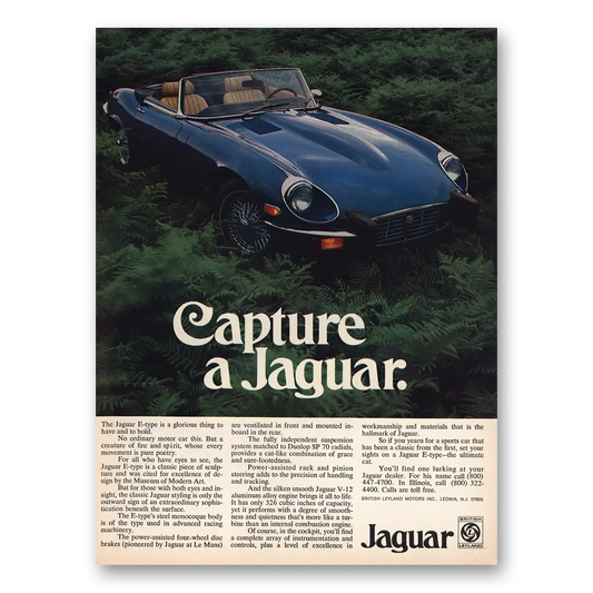 1974 Jaguar Capture a Jaguar Vintage Magazine Print Ad