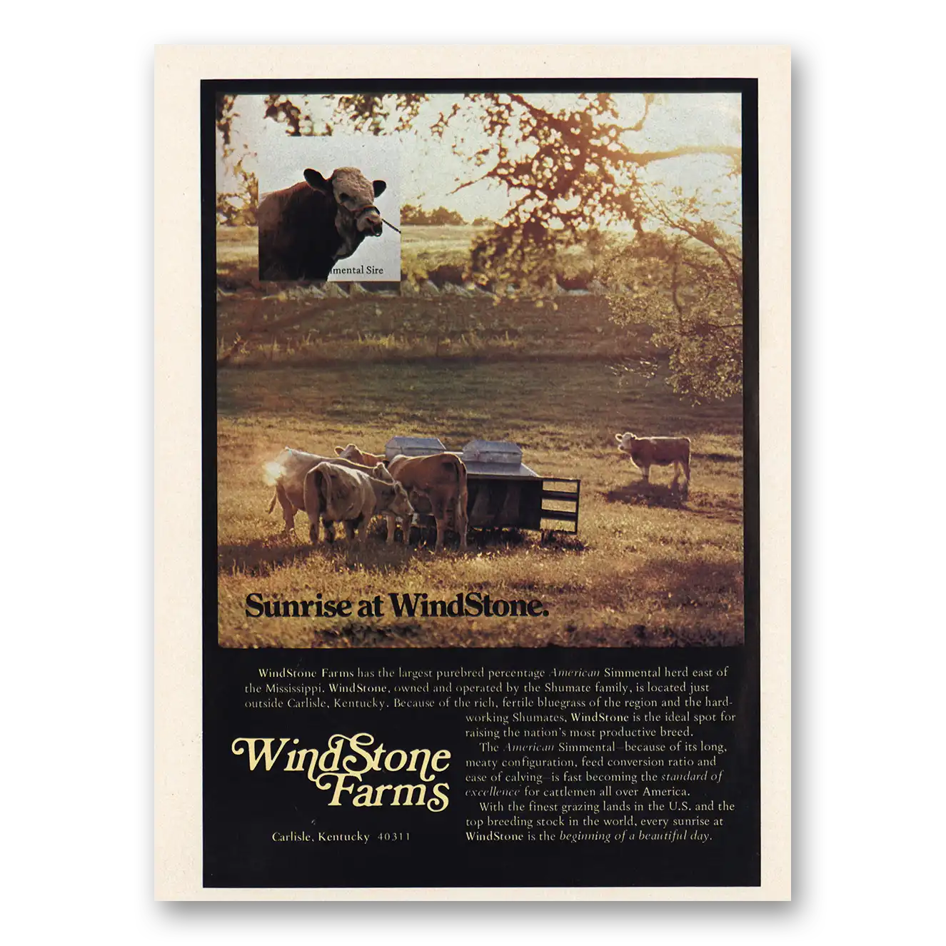 1974 Wind Stone Farms Carlisle Kentucky Vintage Magazine Print Ad