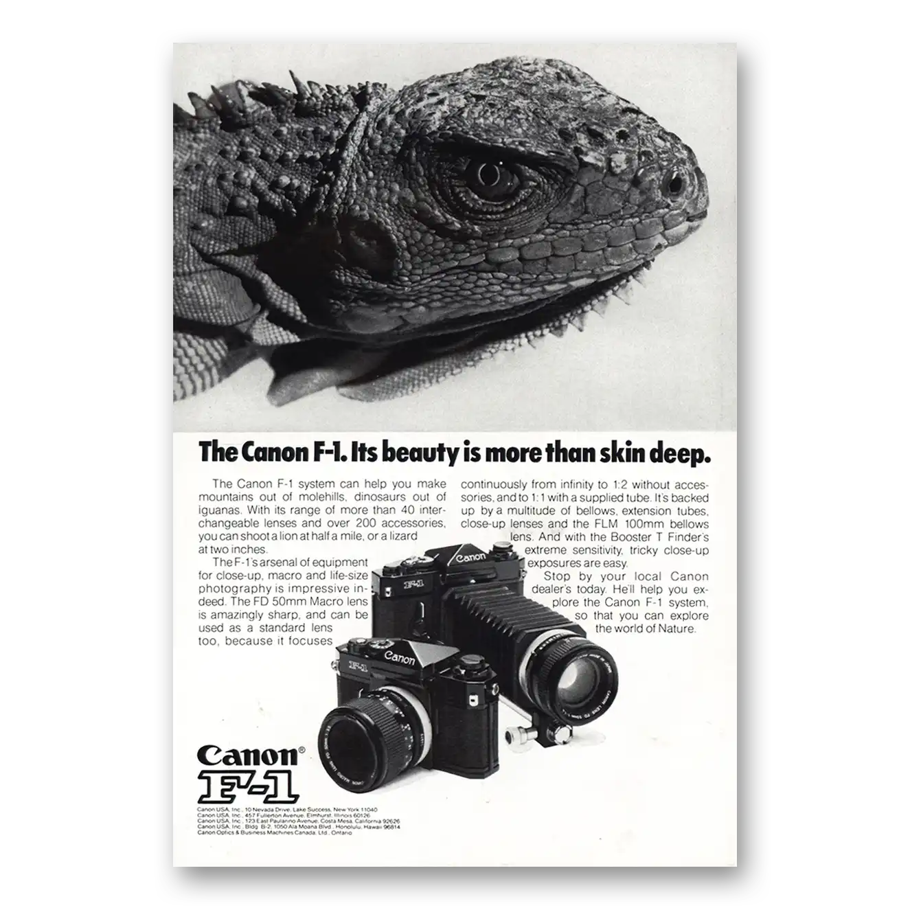 1975 Canon Camera Beauty Is More Than Skin Deep Vintage Magazine Print Ad