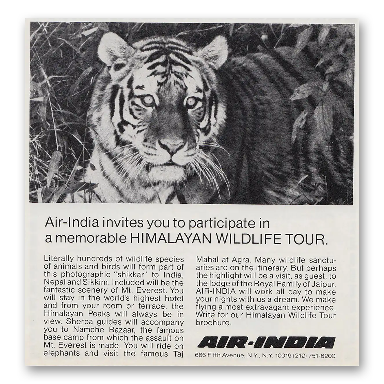 1975 Air India Memorable Himalayan Wildlife Tour Vintage Magazine Print Ad