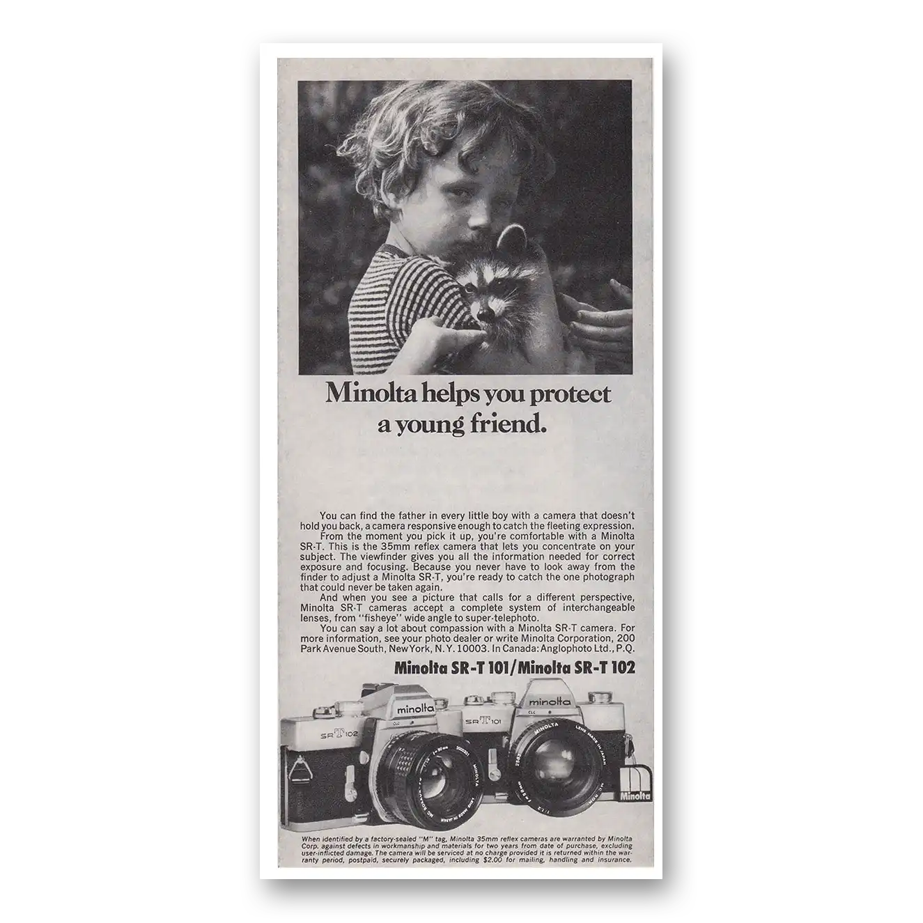 1975 Minolta SRT Camera Helps you Protect a Young Friend Vintage Magazine Print Ad