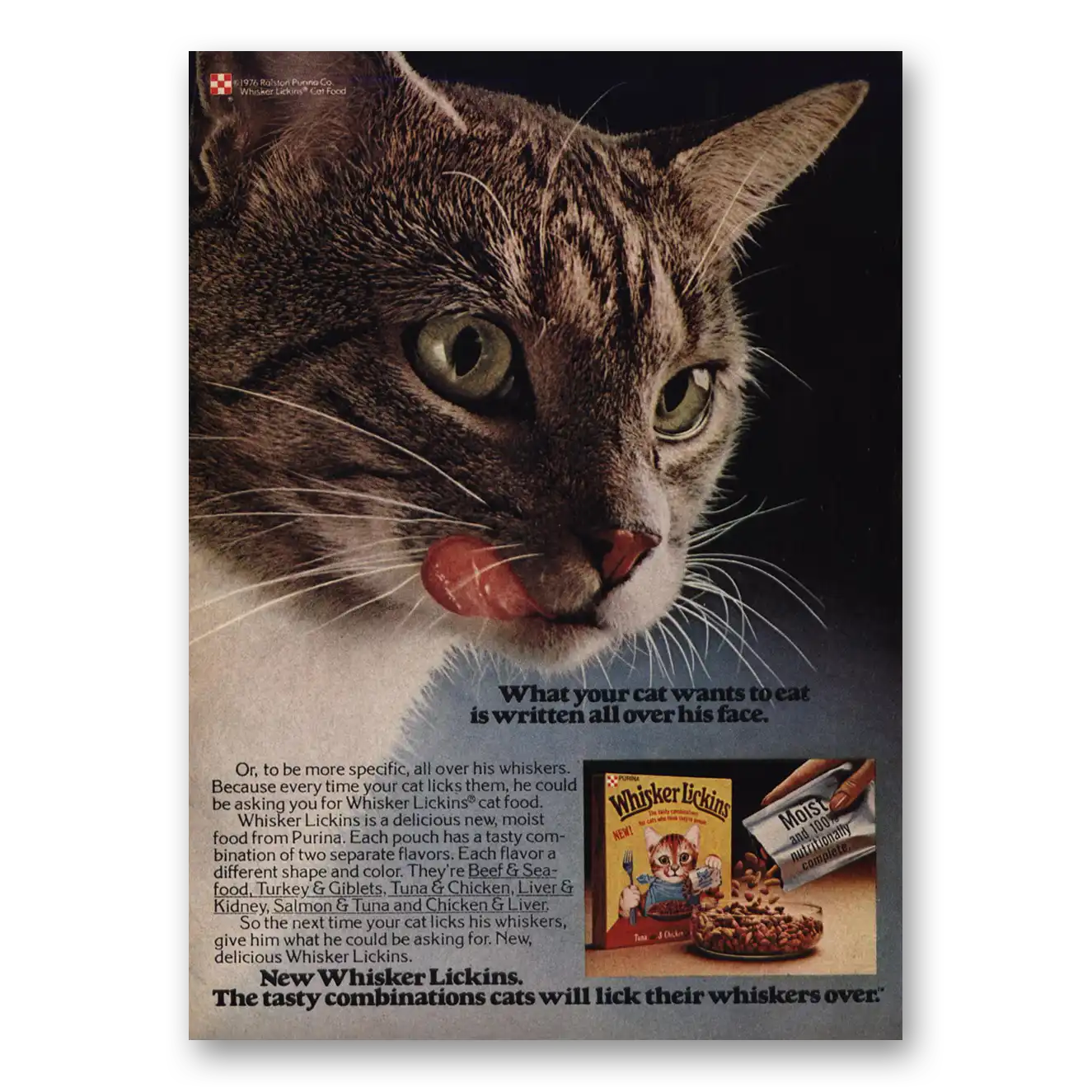 1976 Whisker Lickens Cat Food Written All Over His Face Vintage Magazine Print Ad