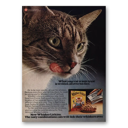 1976 Whisker Lickens Cat Food Written All Over His Face Vintage Magazine Print Ad